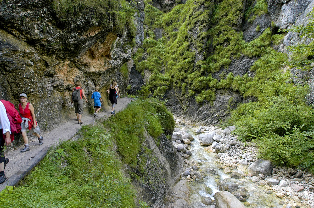 Almbachklamm - Der Auftakt in die gut zwei Kilometer lange Almbachklamm ist harmlos, erst allmählich verengt sich das Tal, die steilen Flanken links und rechts gewinnen an Höhe. Aufnahme: Juli 2008.