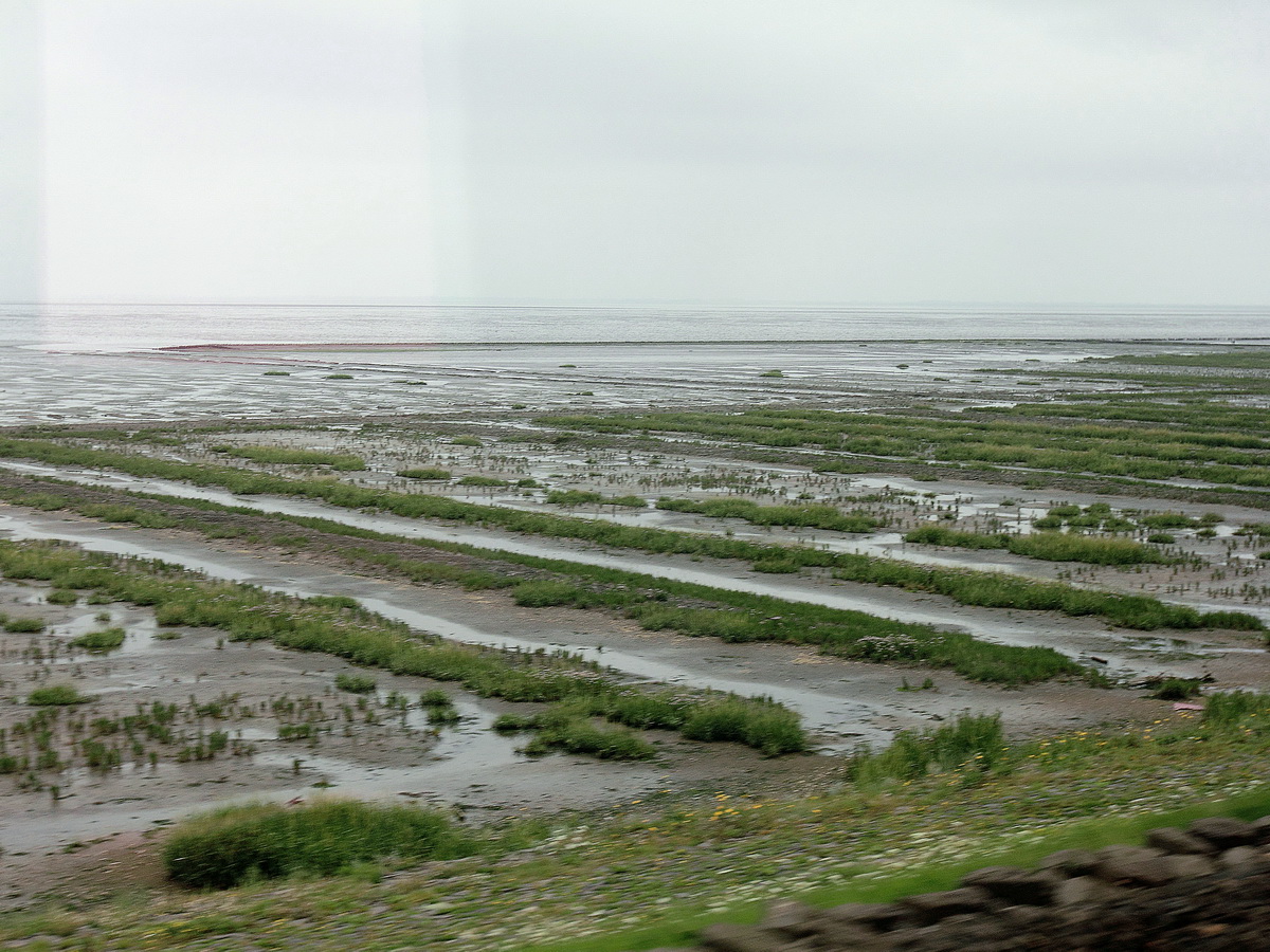 Am 20. August 2015 bei der Fahrt über den Hindenburg Damm Blick zum Wattenmeer