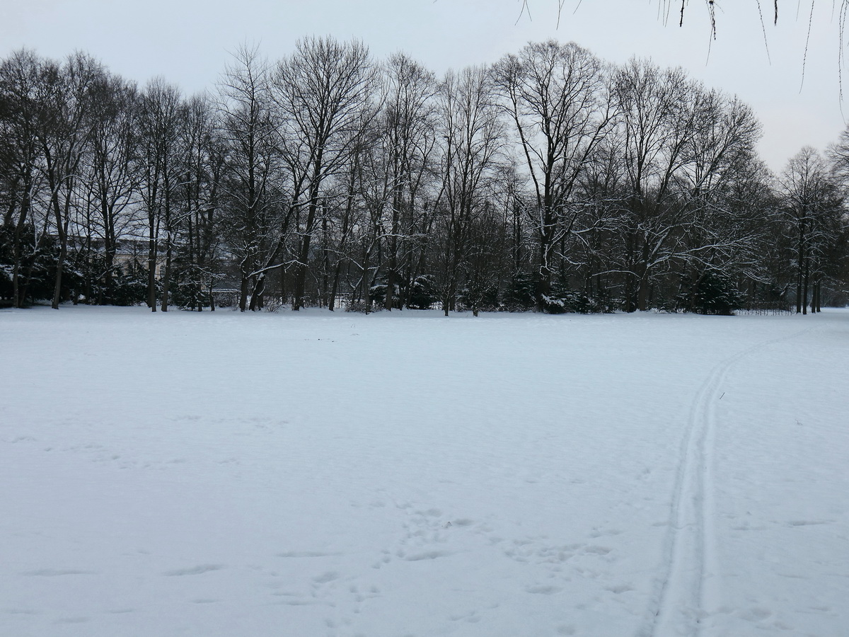 Am 21. Januar 2016 Blick in den Hofgarten von Ansbach.  