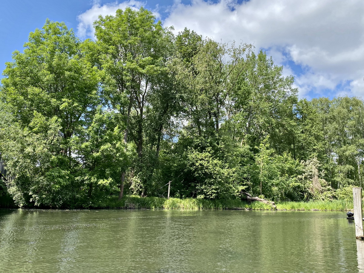 Am 25. Mai 2023 endet dann die Fahrt am Rand der Spree.