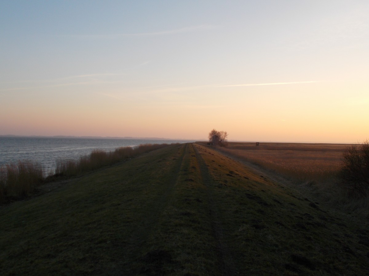 Am Abend auf dem Deich bei Klein Kubitz am 19.Februar 2015.