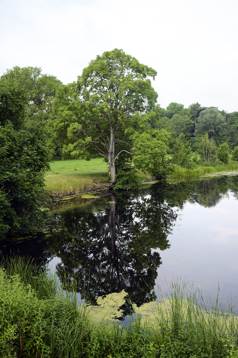 Am alten Eiderkanal bei Kluvensiek in Schleswig-Holstein.Der Kanal verband von 1784 bis 1890 die Kieler Förde bei Kiel-Holtenau mit dem natürlichen Flusslauf der Untereider bei Rendsburg. Der Kanal bildete für die Schifffahrt zusammen mit der Eider eine Wasserstraße zwischen der Nordsee und der Ostsee.
Aufnahme: 29. Mai 2021.