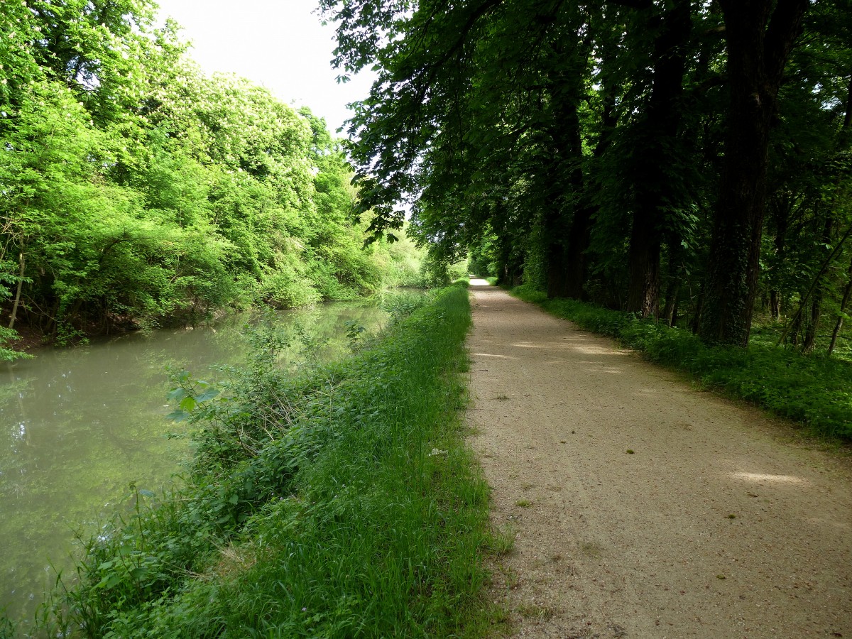 am Alten Rhein-Rhone-Kanal im Elsa, zwischen Kunheim und Biesheim, der Kanal wird fr die Schiffahrt nicht mehr genutzt, aber der Kanalweg ist ideal fr Radtouren, Mai 2015