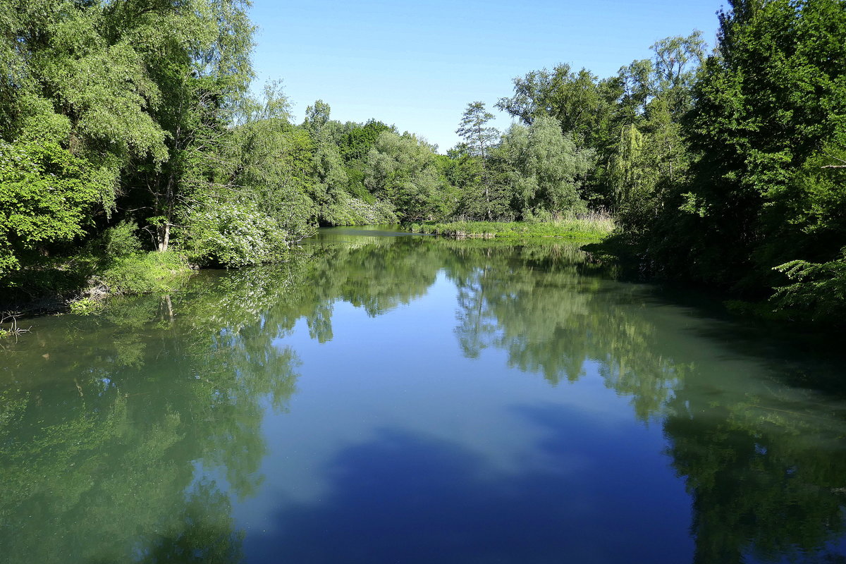 am Altrhein bei Altenheim in der Ortenau, Mai 2020