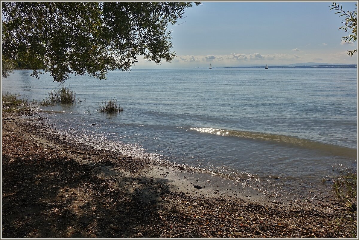 Am Bodenseeufer zwischen Meersburg und Hegnau, mit Blick auf die Schweiz.
(17.09.2021)