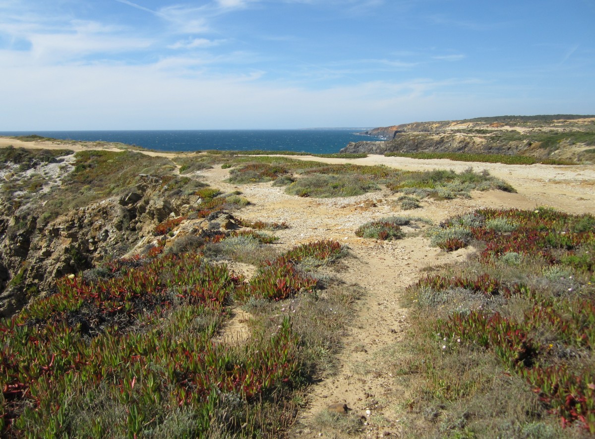 Am Capo Sardao bei Vila Nova de Milfontes (26.05.2014)