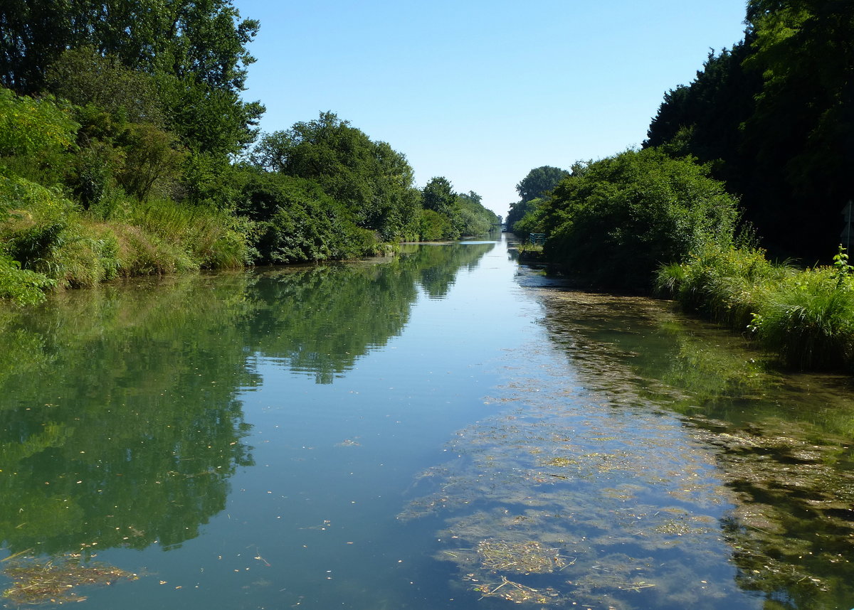 am Colmarkanal im Elsa, Juli 2016