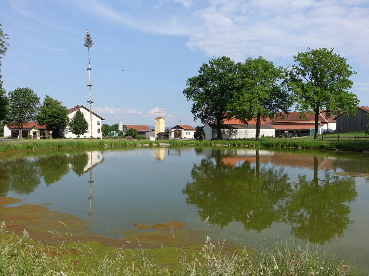 Am Dorfweiher von Hetzmannsdorf, Oberpfalz (03.06.2017)