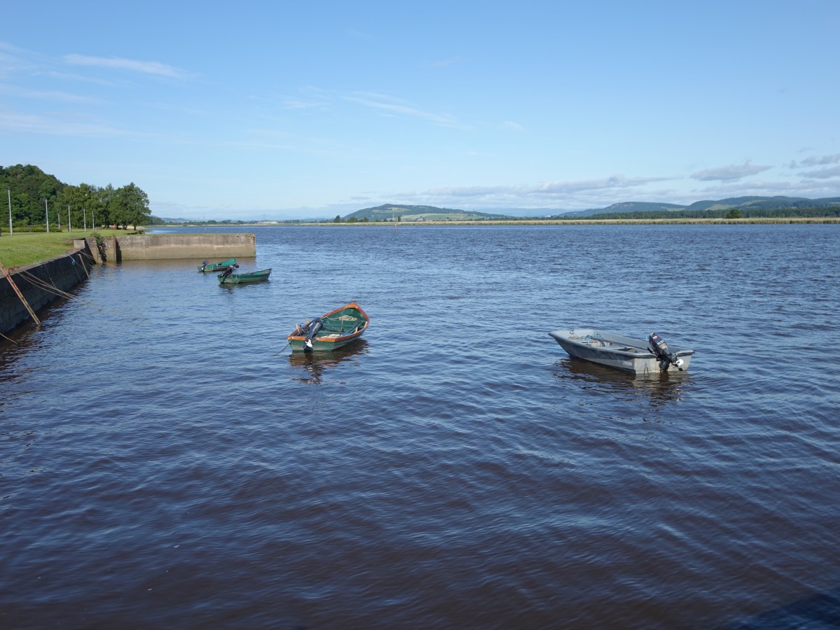 Am Firth of Tay bei Newburgh (09.07.2015)