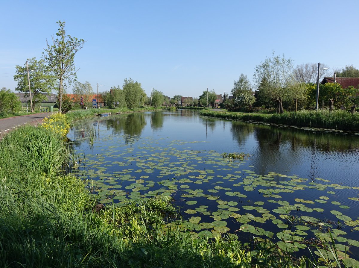 Am Fluss Ijssel bei Vlist (12.05.2016)