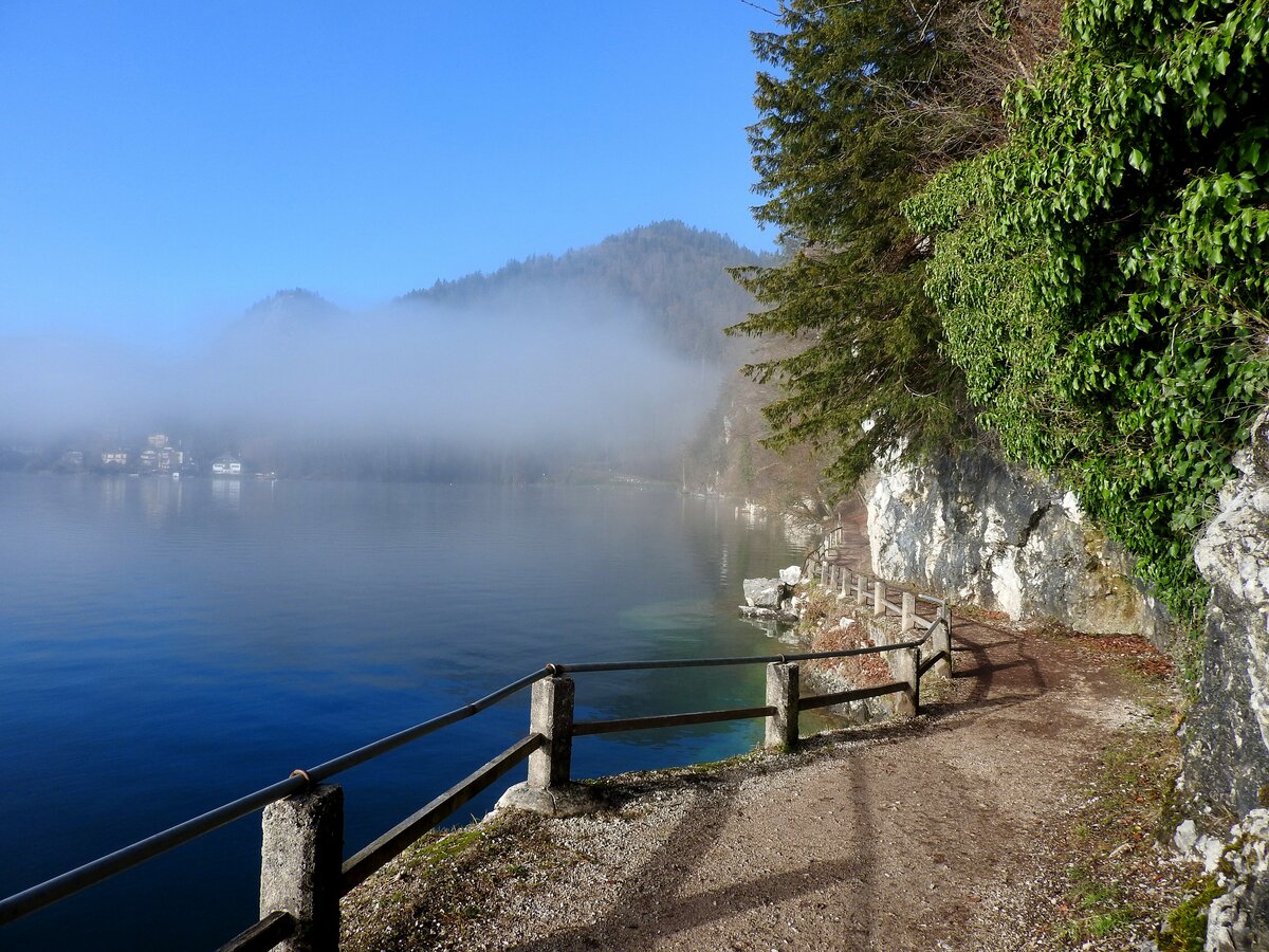 Am Fürbergweg entlang des Wolfgangsees in Richtung St. Gilgen bei mystischer Nebelstimmung; 231218