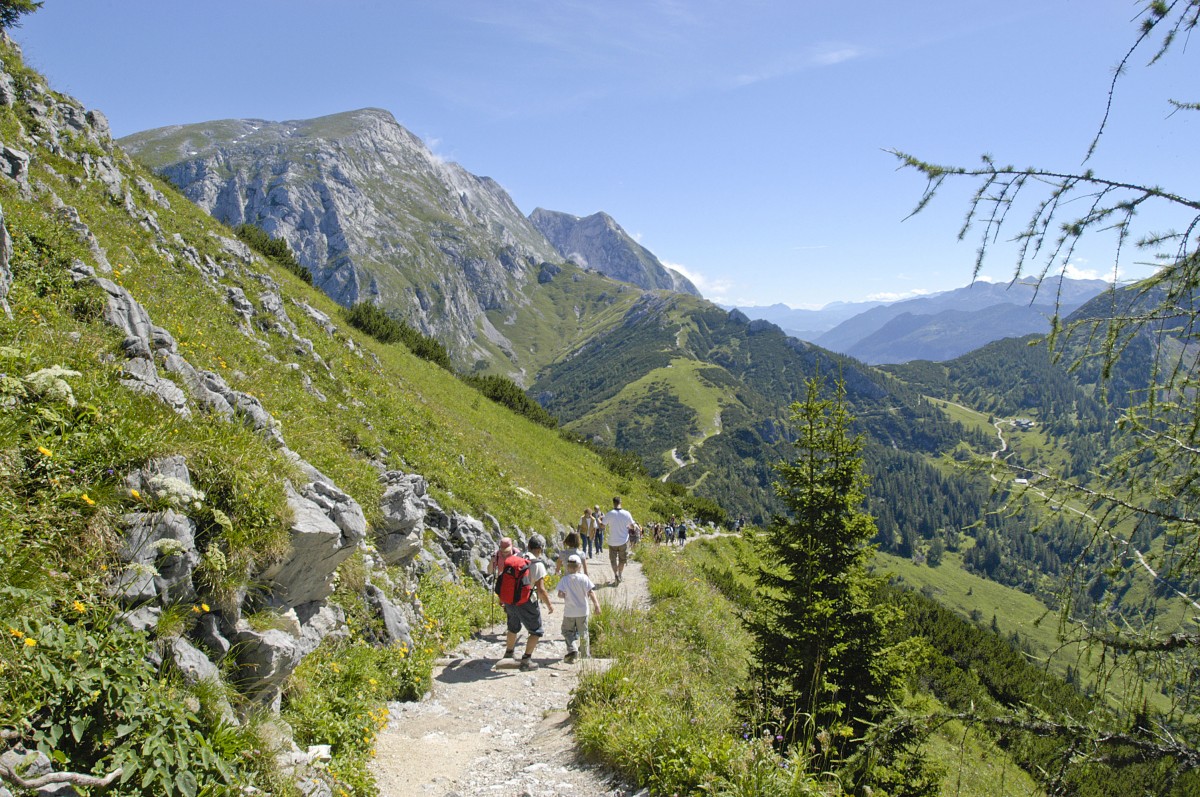 Am Jennerberg im Berchtesgadener Land - Der Fußweg zum Königsberger Alm.
Aufnahme: Juli 2008.