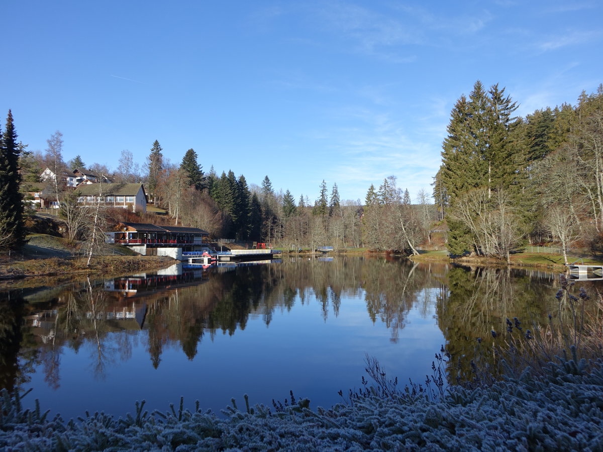 Am Klosterweiher von Friedenweiler, Breisgau (25.12.2018)