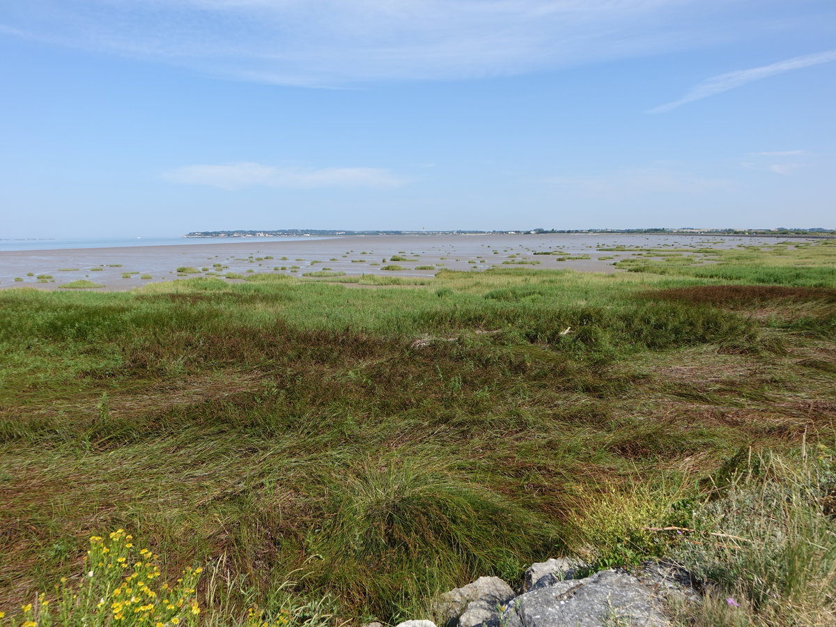 Am Nordufer der Gironde bei Talmont-sur-Gironde (24.07.2018)