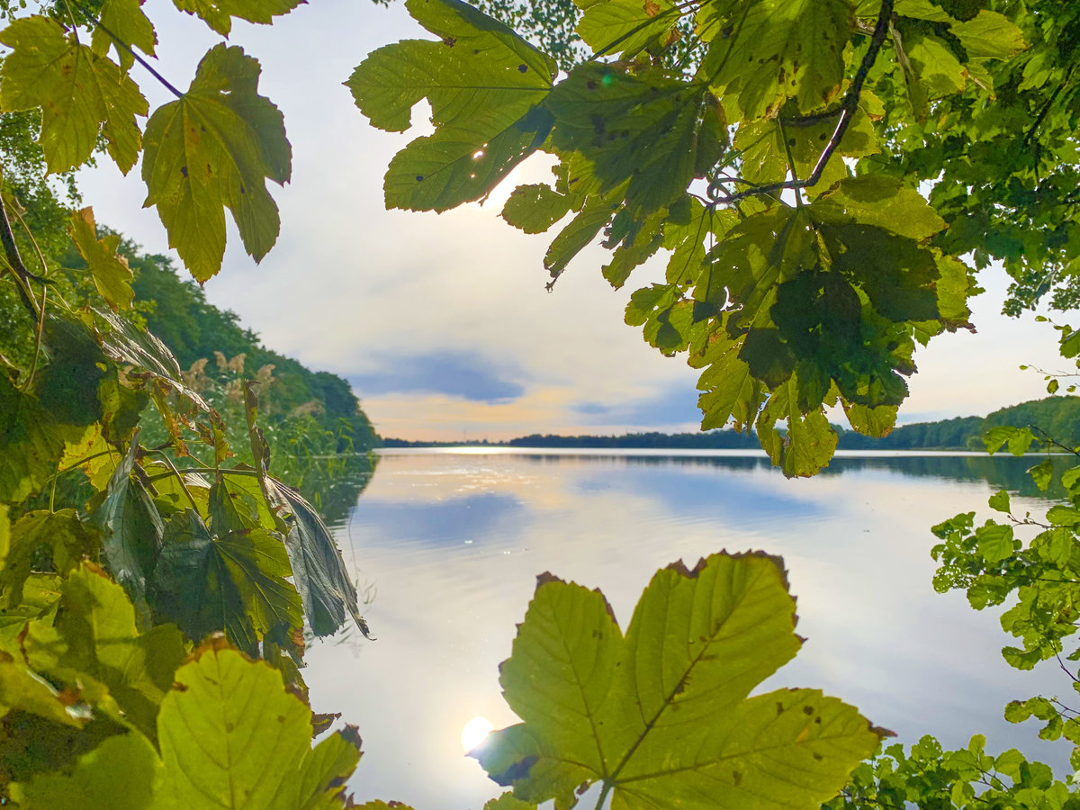 Am Ostufer der Sankelmarker See im Kreis Schleswig-Flensburg. Aufnahme: 20. September 2020.