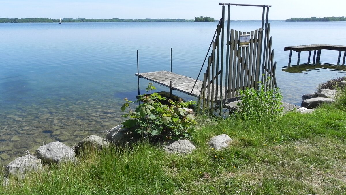 Am Plöner See am 29.05.2023. Der Große Plöner See, auch nur Plöner See, ist mit gut 28 km² der größte See in Schleswig-Holstein und der zehntgrößte See in Deutschland. Er erstreckt sich südwestlich der Stadt Plön, die an seinem Ufer liegt. (Wikipedia)