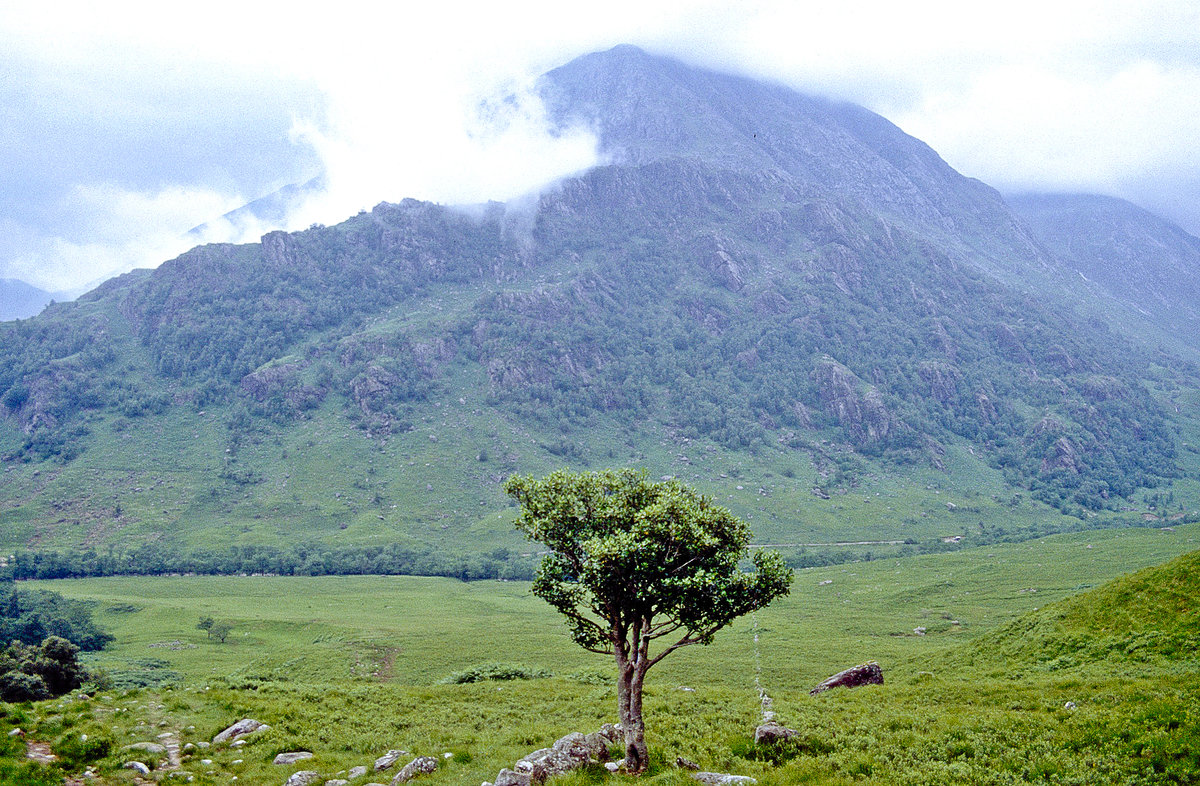 Am River Nevis im Schottischen Hochland. Bild vom Dia. Aufnahme: Juni 1991.