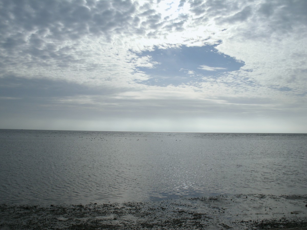 Am Rgenischen Bodden bei Neuendorf am 26.Oktober 2013.