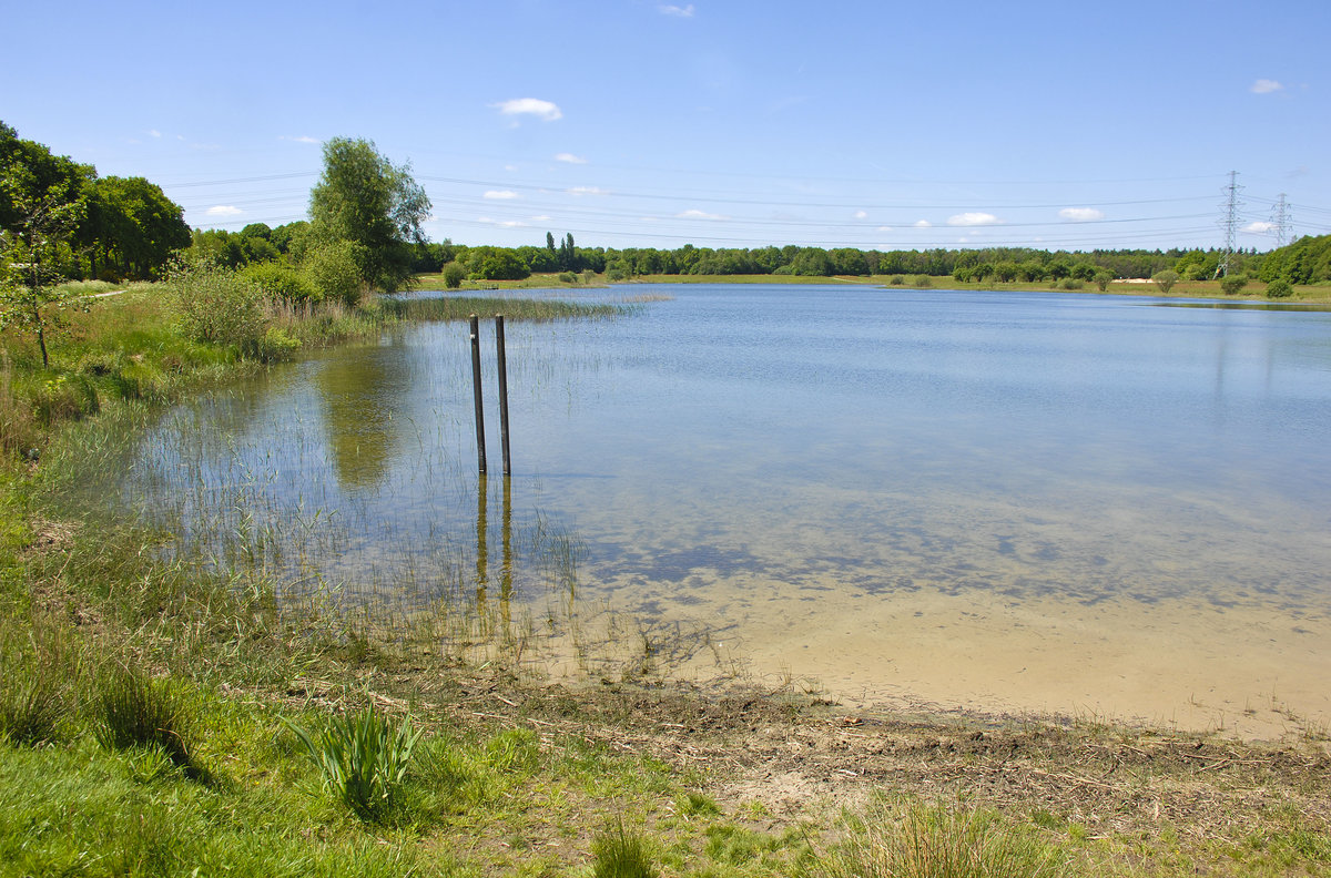 Am See »Baggelhuizer Plas« östlich von der Stadt Assen in Drenthe, Holland/Niederlande. Aufnahme: 25. Mai 2017.