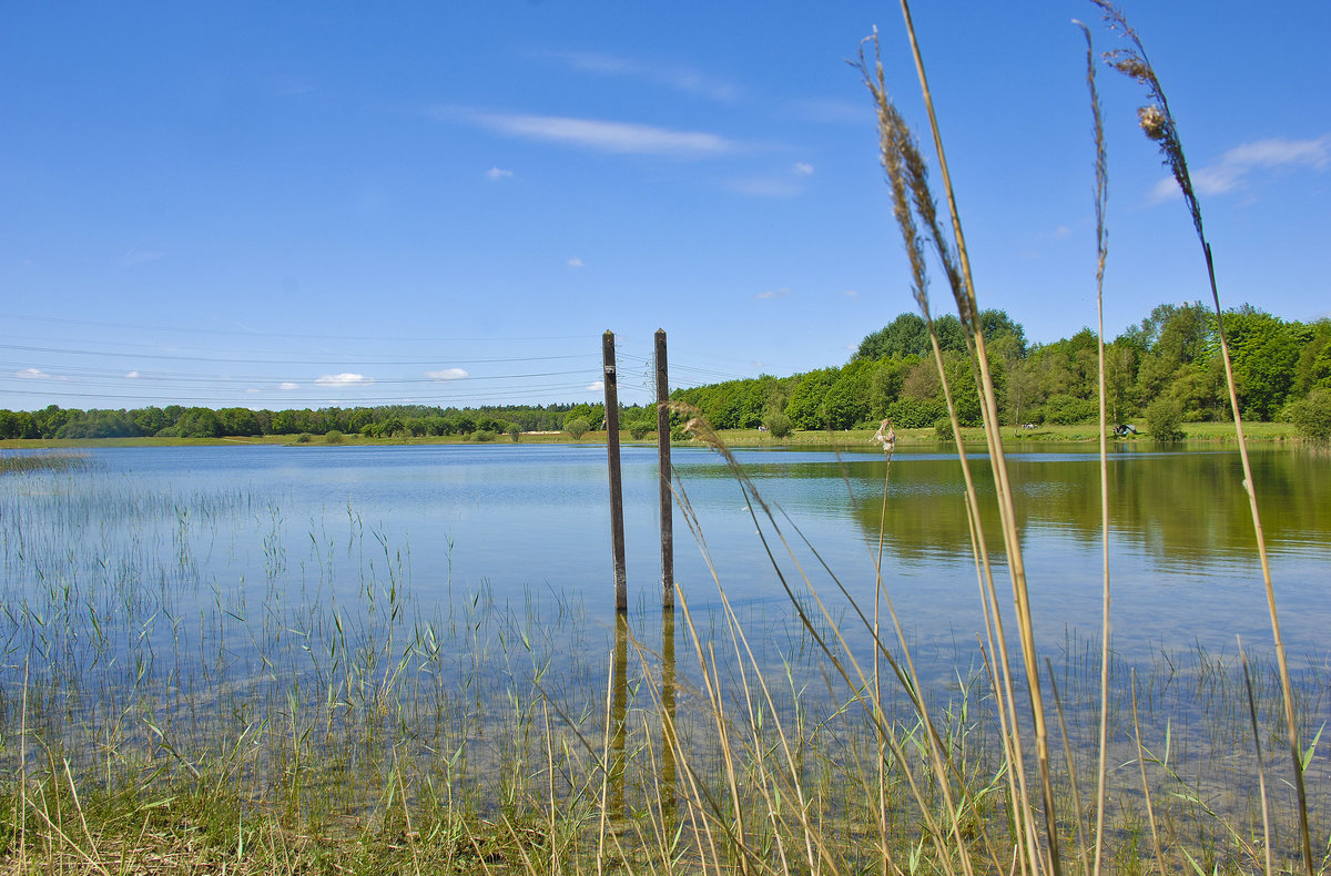 Am See »Baggelhuizer Plas« östlich von der Stadt Assen in Drenthe, Holland/Niederlande. Aufnahme: 25. Mai 2017.