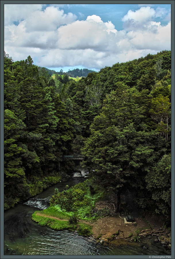 Am Stadtrand von Whangarei befindet sich das Whangarei Falls Scenic Reserve. (11.10.2016)