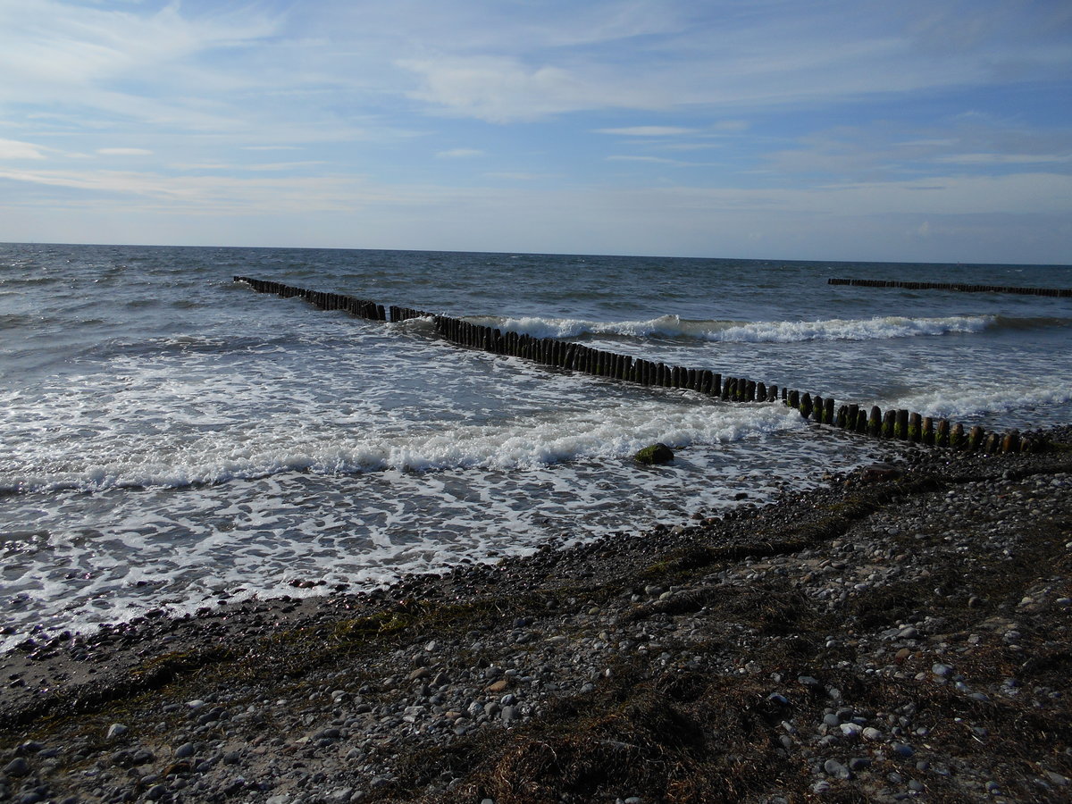 Am Strand von Dranske am 08.September 2018.