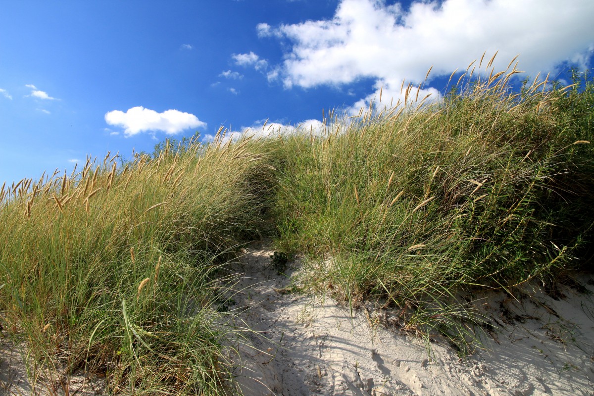 Am Strand von Goting auf Föhr am Nachmittag des 09.09.2015.