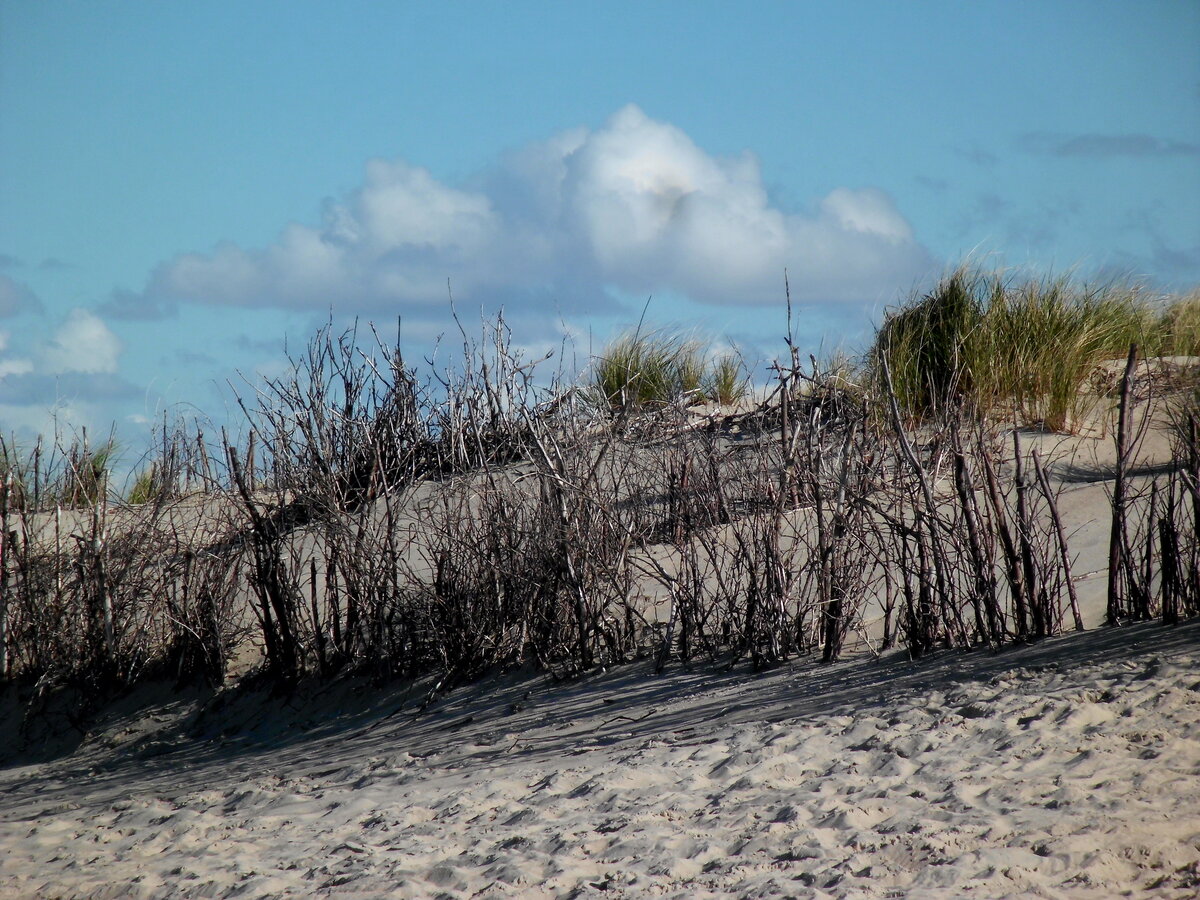 Am Strand von Norderney am 26.09.2015.