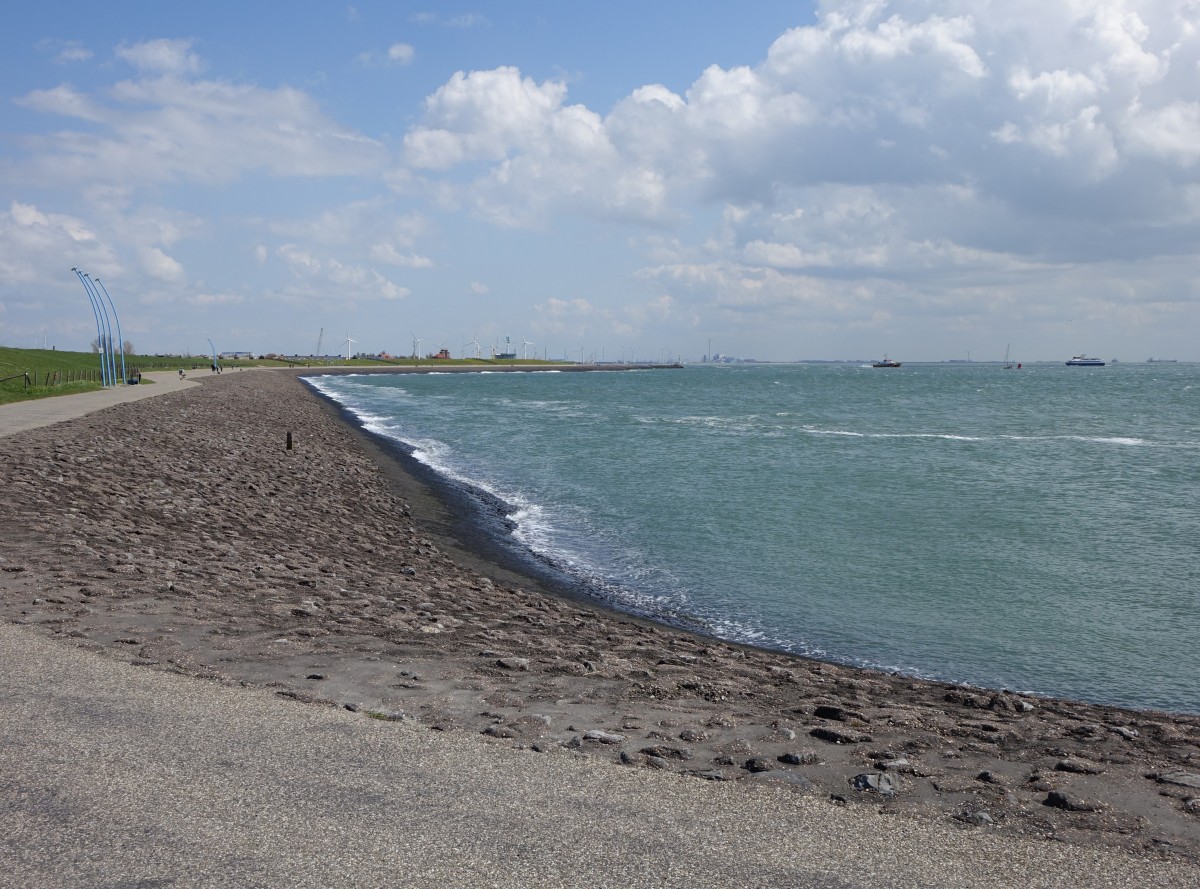 Am Strand von Vlissingen, Zeeland (30.04.2015)