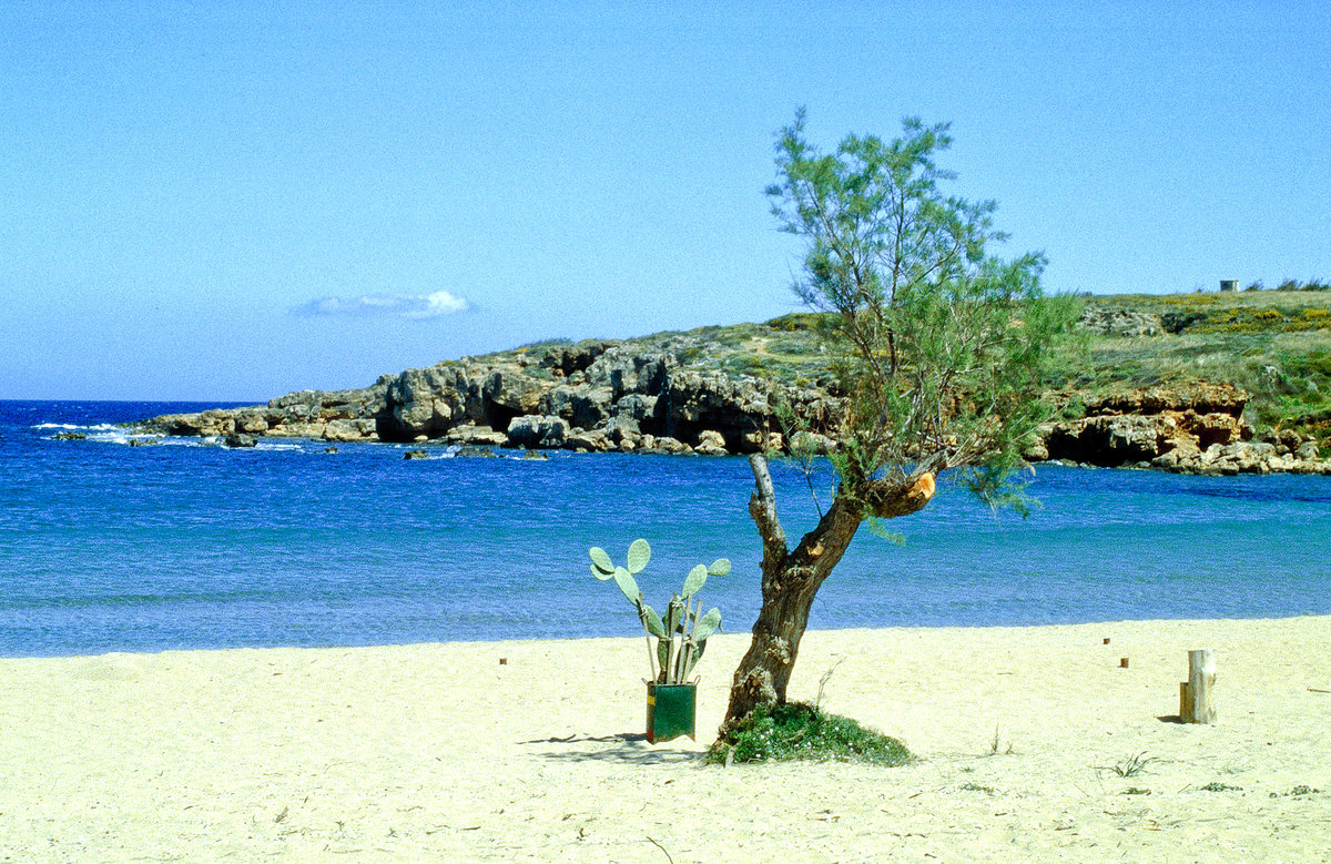 Am Strand vor Agii Apostoli auf Kreta. Bild vom Dia. Aufnahme: April 1999.