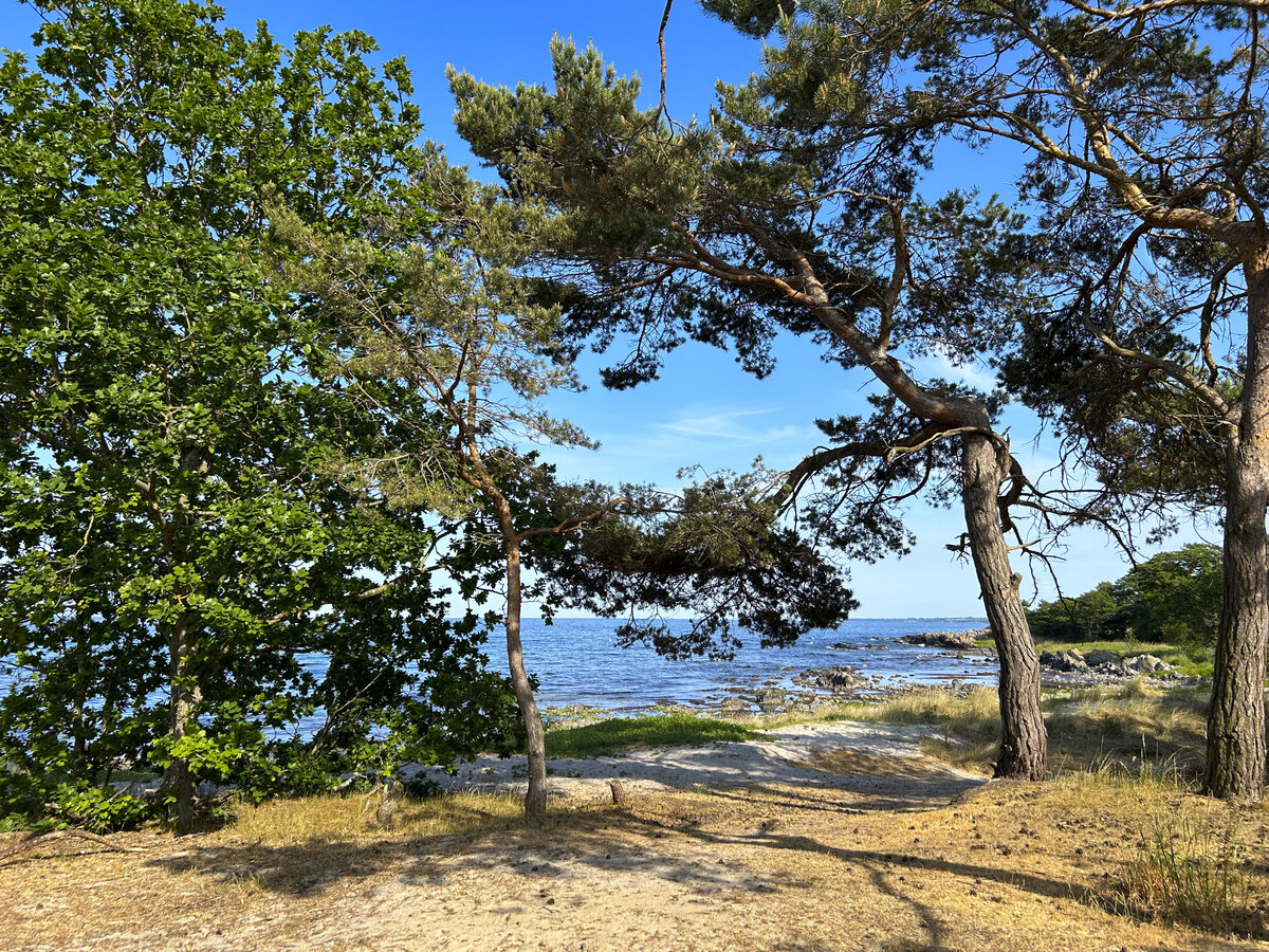 Am Strand vor Gudhjem auf der Nordküste von Bornhaolm. Aufnahme: 14. Juni 2023.