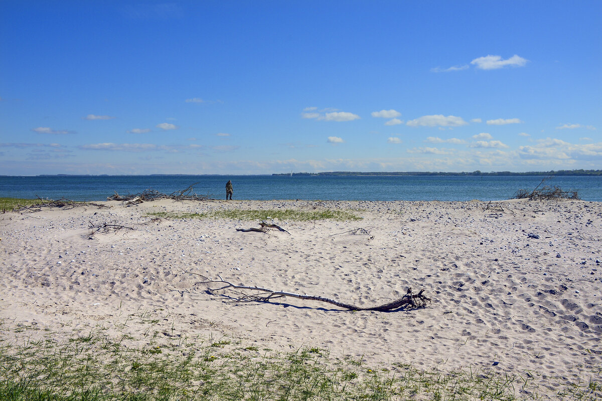 Am Strand vor Kragesand auf der Halbinsel Broagerland (Nordschleswig/Sønderjylland). Aufnahme: 22. April 2024.