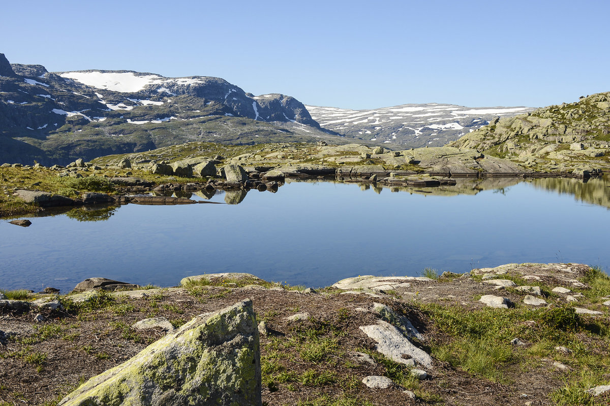 Am Tyssedalsfjell im norwegischen Hardanger. Das Foto ist am Wanderweg zu Trolltunga gemacht. 
Aufnahme: 8. Juli 2018.