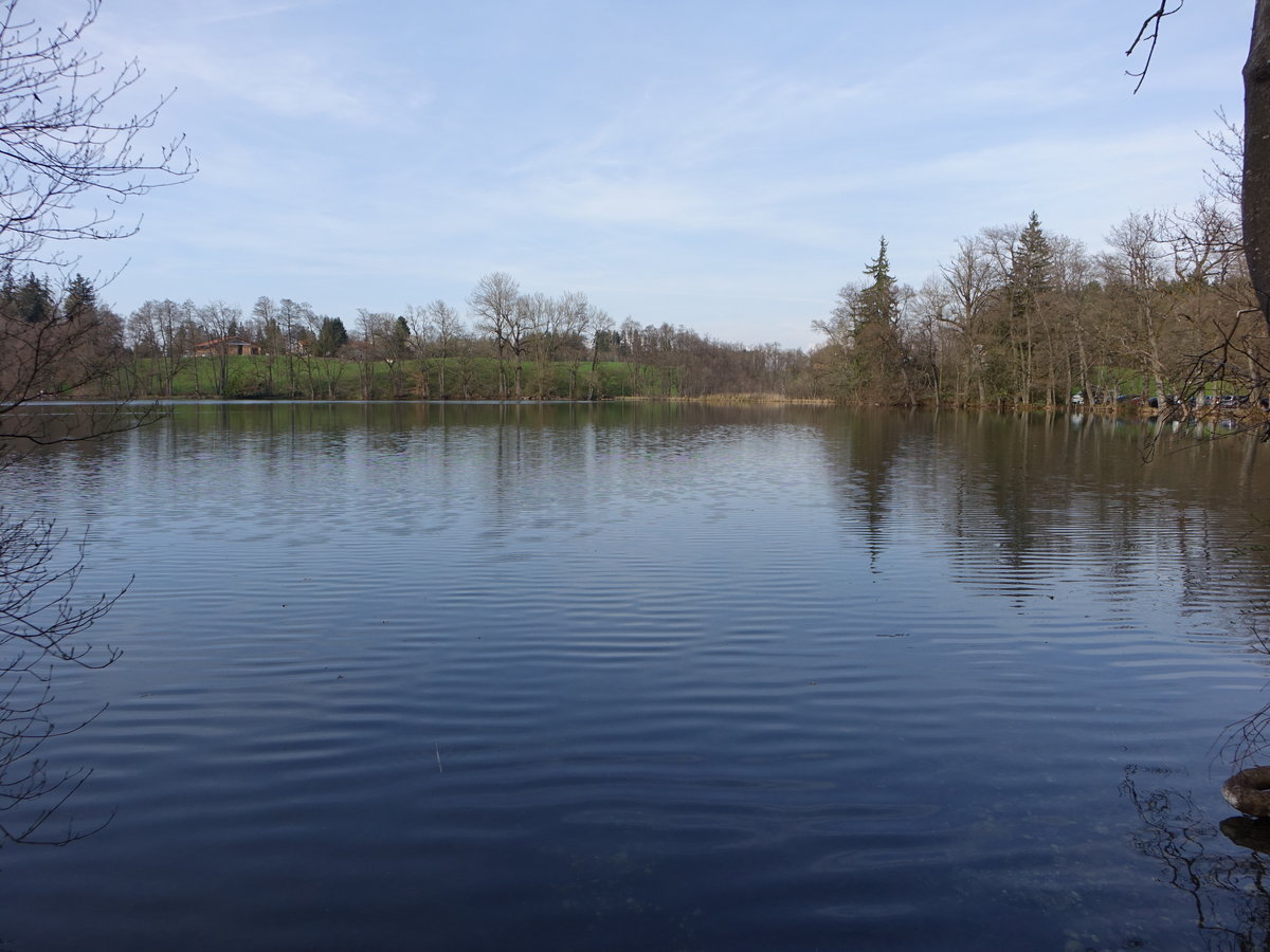 Am Ufer des Chiemsee bei Rimsting (02.04.2017)