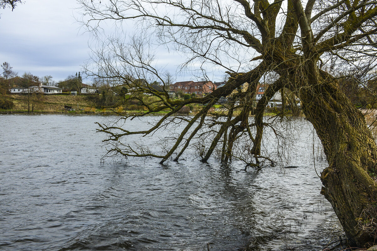 Am Ufer der Norburger See auf der Insel Alsen (Nordschleswig). Aufnahme: 18. März 2024.