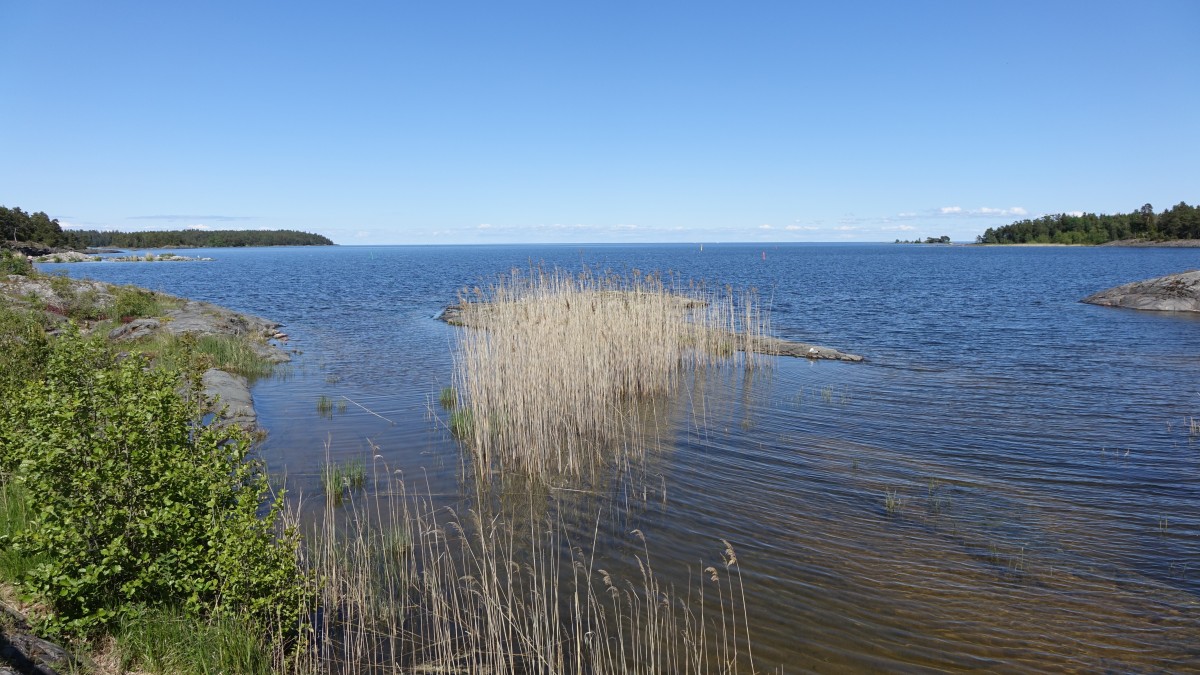 Am Vänersee bei Läckö auf der Insel Källandsö (15.06.2015)