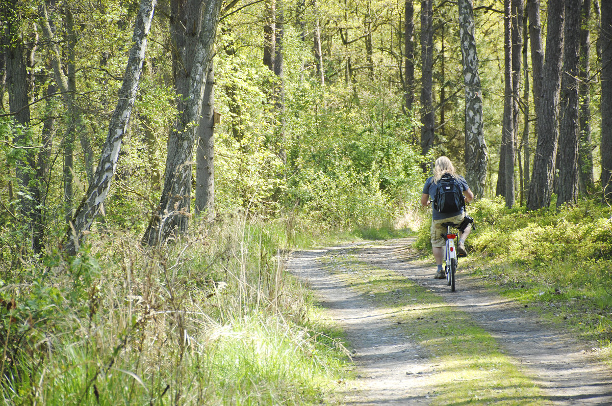 Am Waldweg von Świnoujście (Swinemünde) nach Międzyzdroje  (Misdroy). Aufnahme: 7. Mai 2016.