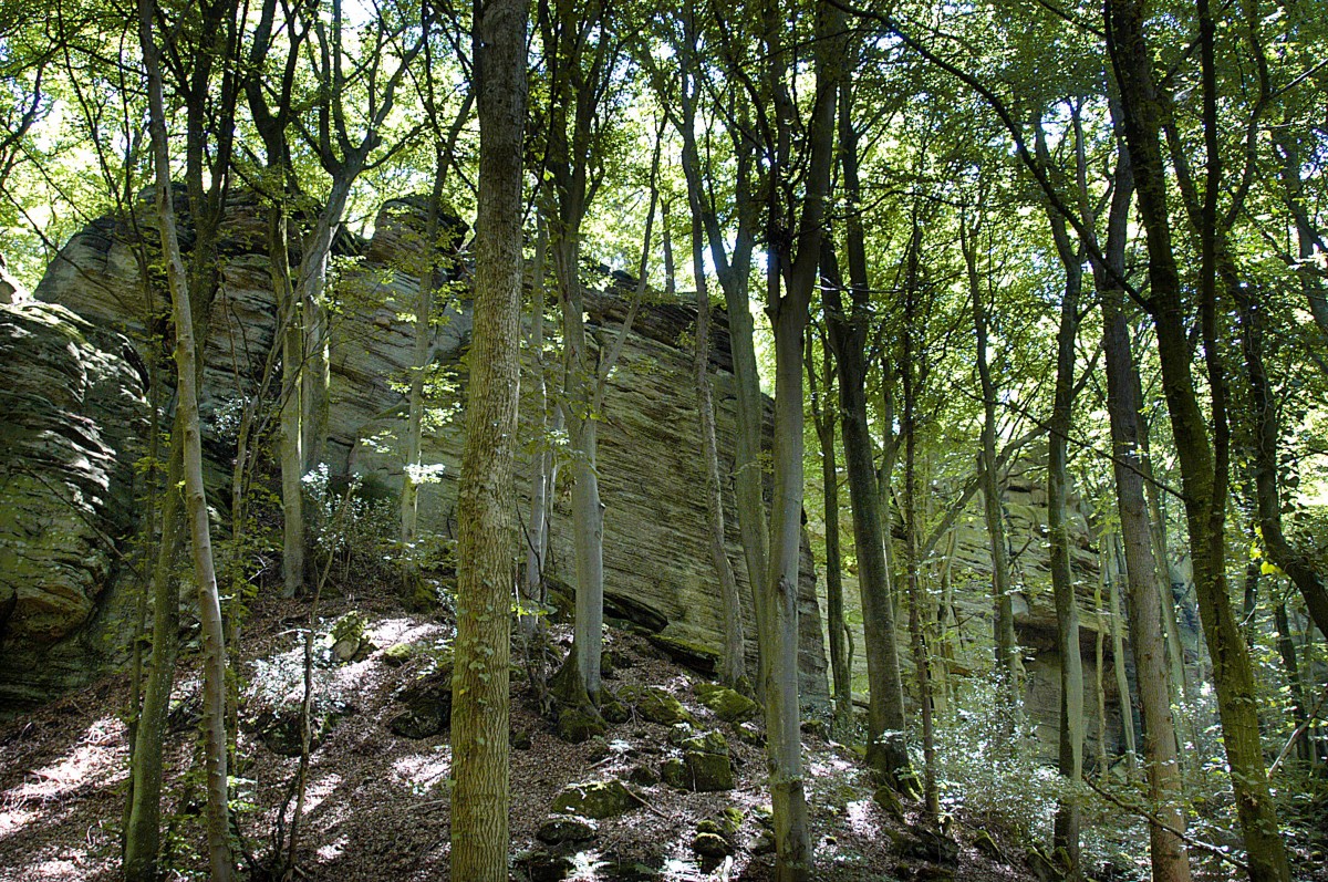 Am Wanderweg von Berdorf nach Waldbillig durch La Petite Suisse (Kleine Luxemburger Schweiz). Aufnahme: August 2007.