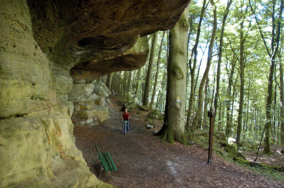 Am Wanderweg von Berdorf nach Waldbillig durch La Petite Suisse (Kleine Luxemburger Schweiz). Aufnahme: August 2007.