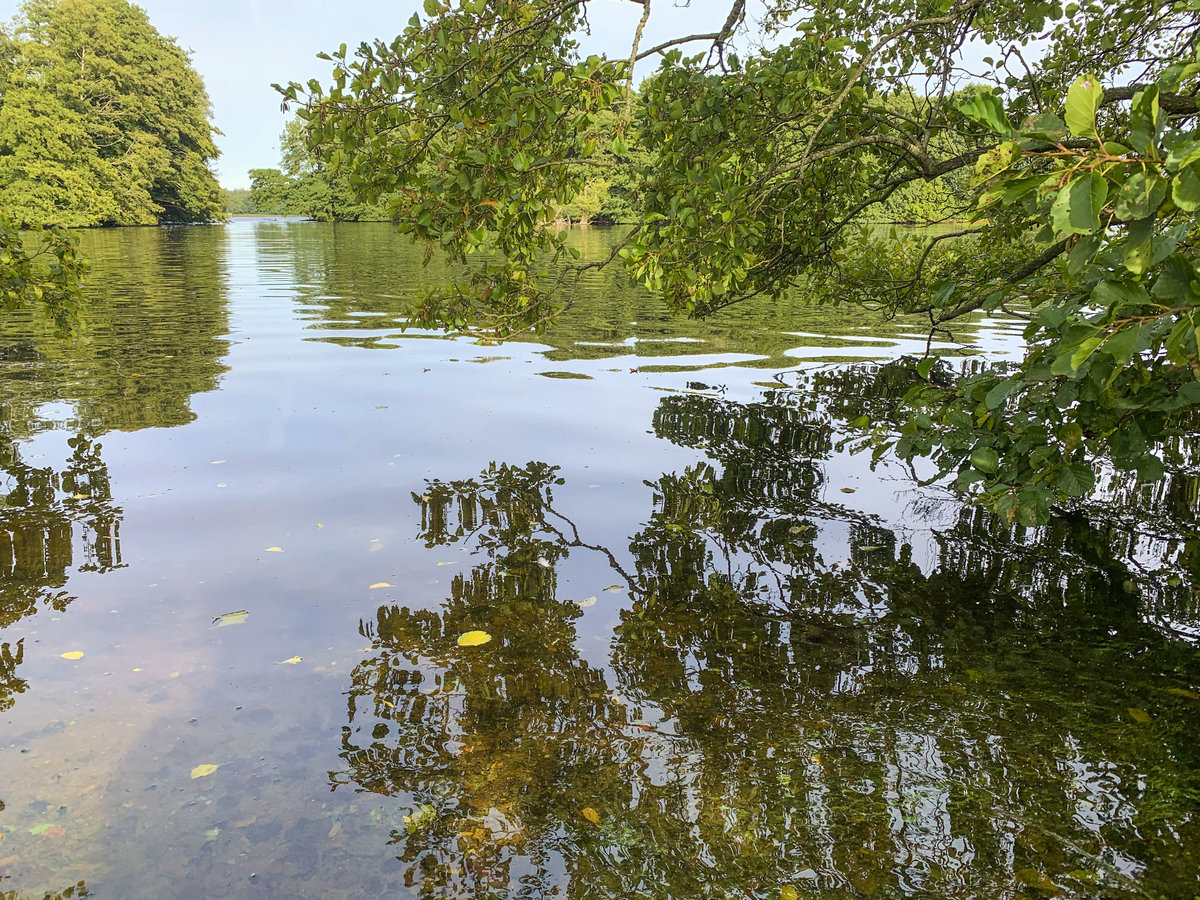 Am Westufer der Sankelmarker See im Kreis Schleswig-Flensburg. Aufnahme: 20. September 2020.