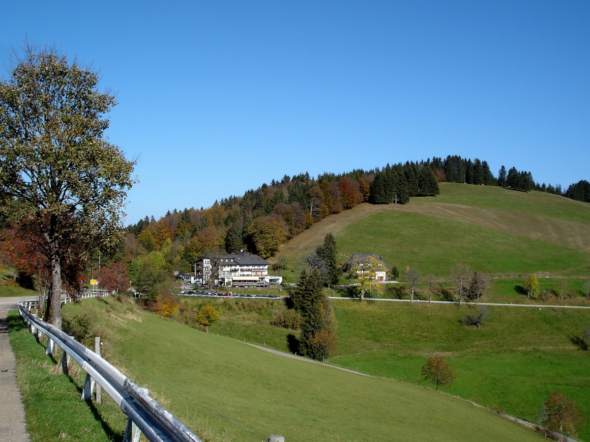 am Wiedener Eck im Naturpark Sdschwarzwald, mit Blick auf das Berghotel, Okt.2006