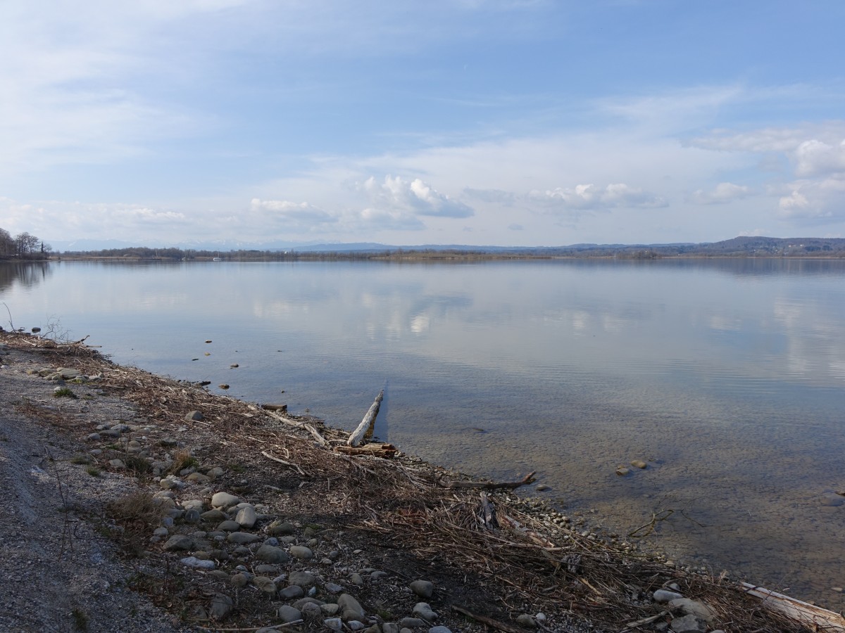 Ammersee bei Wartaweil am Ostufer (12.04.2015)