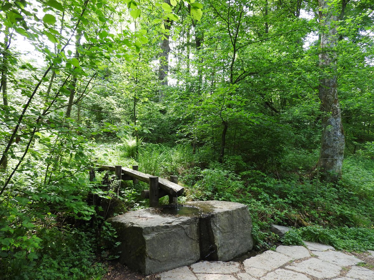 AN DER SIEGQUELLE IM ROTHAARGEBIRGE
An dieser Stelle im SIEGERLÄNDER ROTHAARGEBIRGE oberhalb des Ortes WALPERSDORF
liegt die im Jahr 2013 renaturierte Quelle der SIEG,die nach 155 km
bei MONDORF in den RHEIN mündet- nur wenige Kilometer davon entfernt der
Quellteich der LAHN,des zweiten hier entspringenden bedeutenden Flusses...
am 15.5.2018