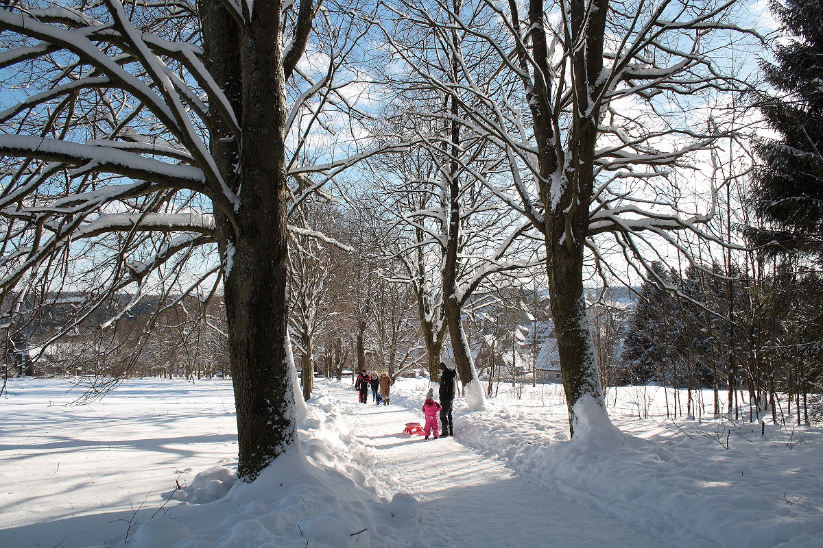 An diesem Sonntag, dem 21.01.2018 sind zahlreiche Menschen unterschiedlichen Alters unterwegs in der Wintermärchenlandschaft; Allee längs der Rathaus-Skiwiese in Braunlage...