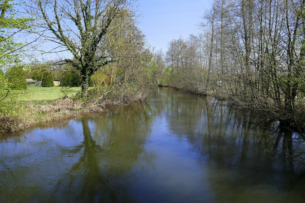 an der Elz in der Rheinebene zwischen Rust und Kappel, März 2020