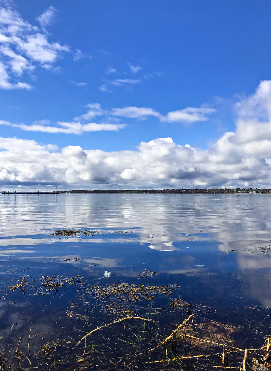 An der Flensburger Förde bei Ekensund. Aufnahme: 16. April 2017.