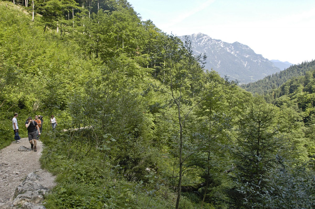 An der Höllentalklamm Eingangs-Hütte. Man erreicht die Klamm über den gut ausgebauten Wanderweg entlang des Hammerbachs, ausgehend vom Obergrainauer Dorfplatz im Grainauer Ortsteil Hammersbach.Aufnahme: Juli 2008.