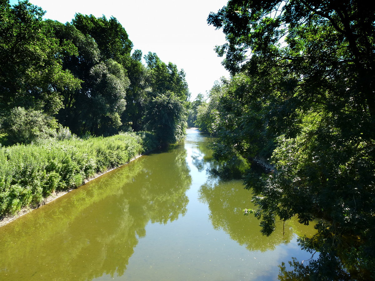 an der Ill bei Colmar, Juli 2016