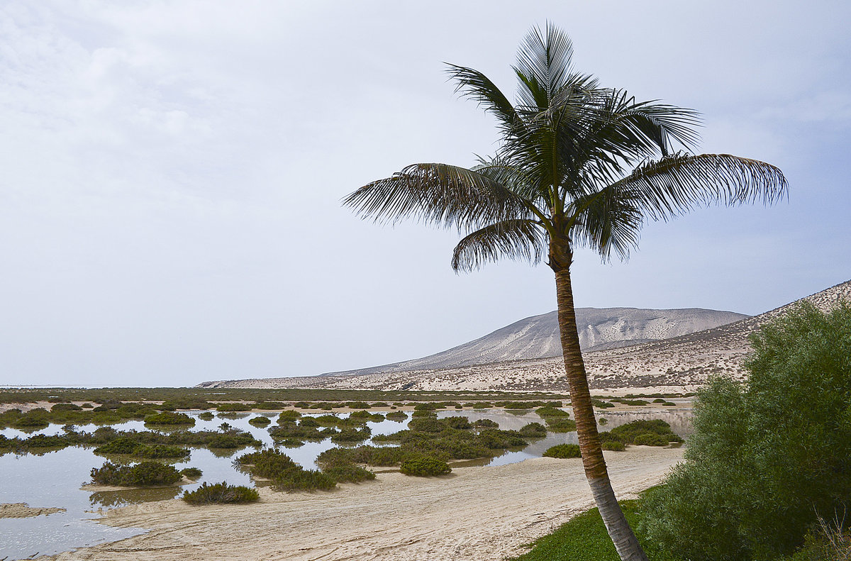 An der Lagune südlich von Costa Calma auf der Insel Fuerteventura in Spanien. Aufnahme: 16. Oktober 2017.