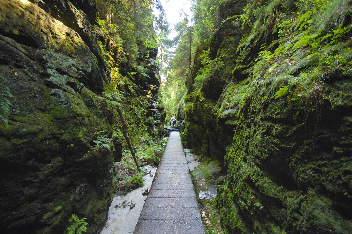 An den Schwedenlöcher im Nationalpark Sächsische Schweiz.

Aufnahmedatum: 7. Juni 2014.